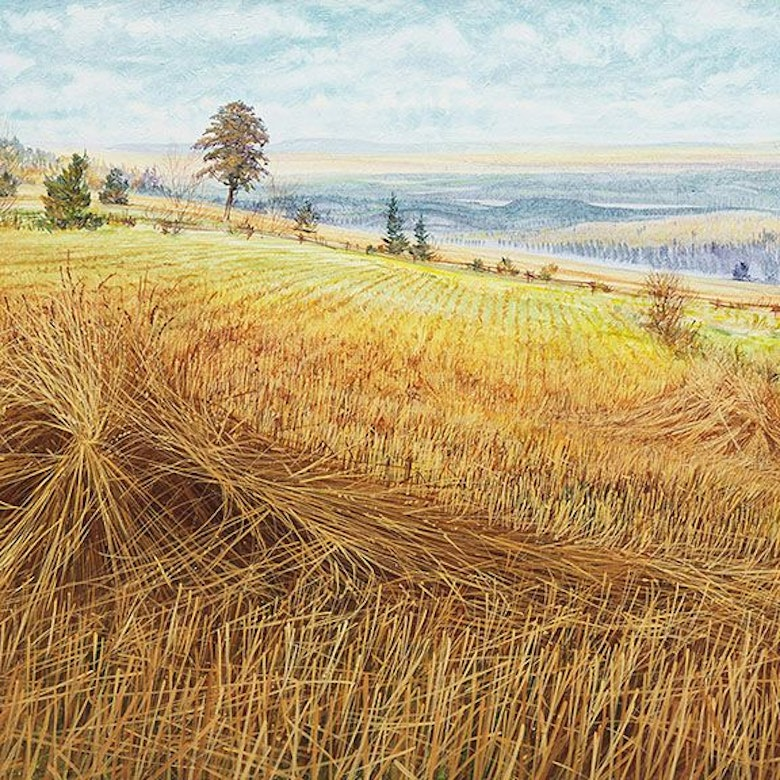 Contemporary Art Collection - Upcoming Auction